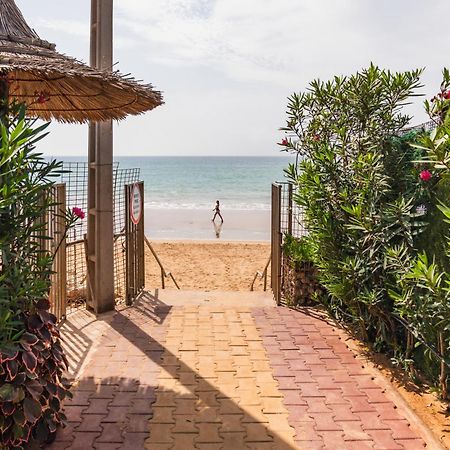 Loca Beach Taghazout Ngoại thất bức ảnh